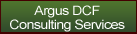 Argus DCF Consulting Services