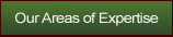 Areas of Expertise
